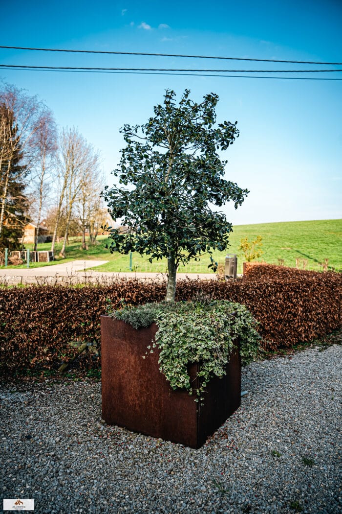 Grand bac à fleur